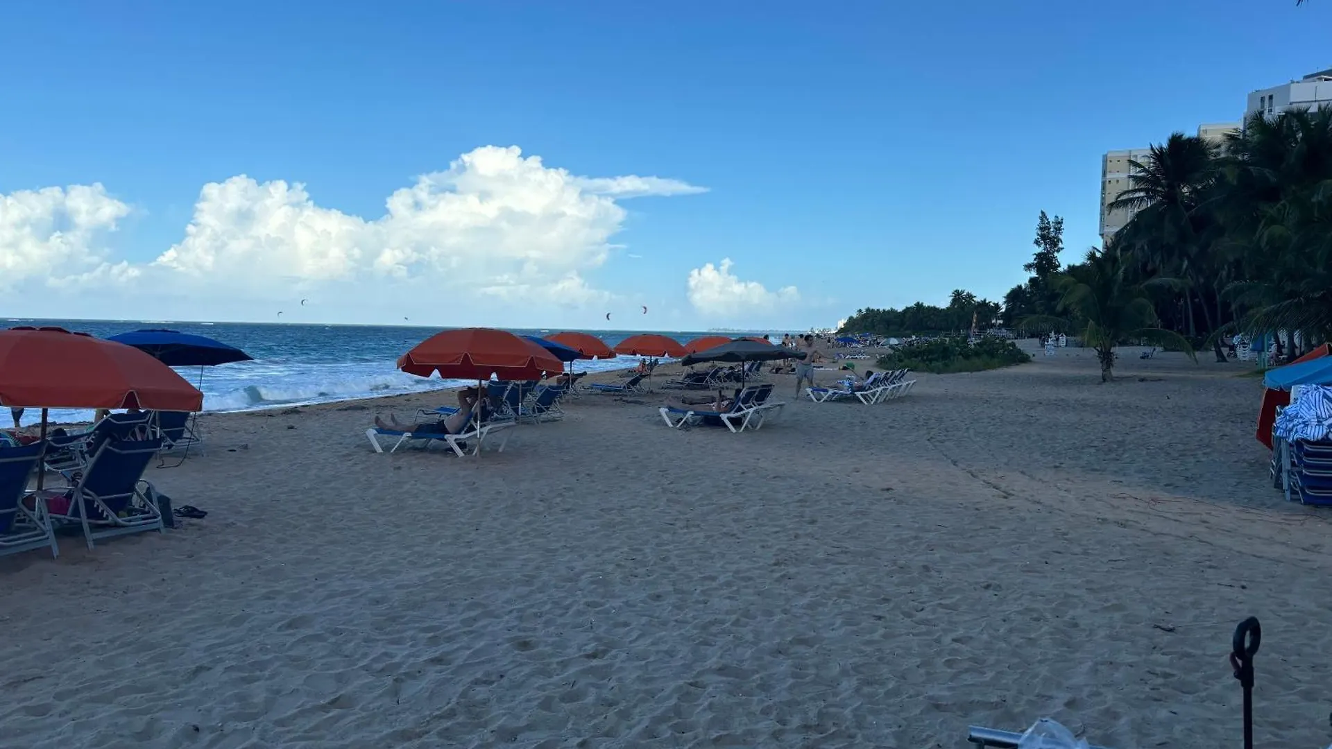 Ansonia Loiza Street Apartment San Juan Porto Rico
