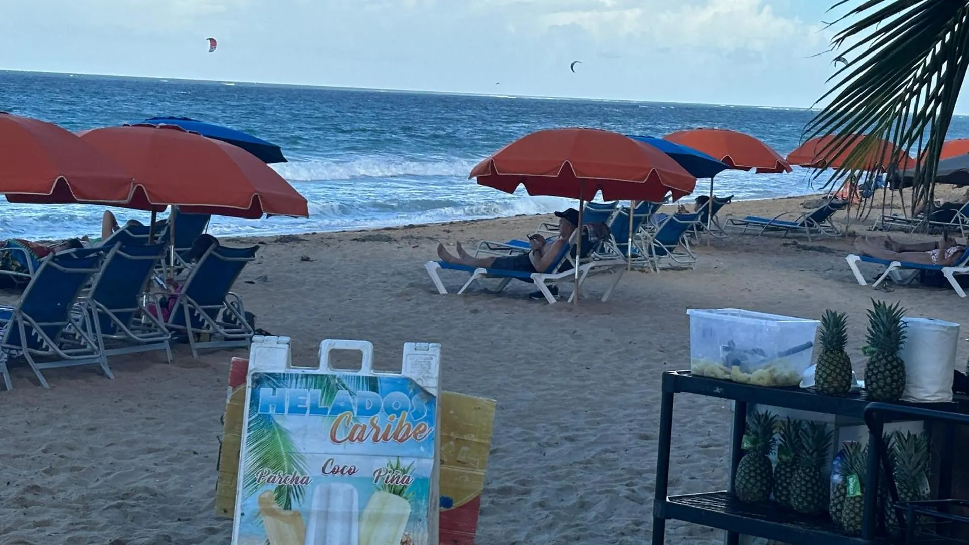Ansonia Loiza Street Apartment San Juan