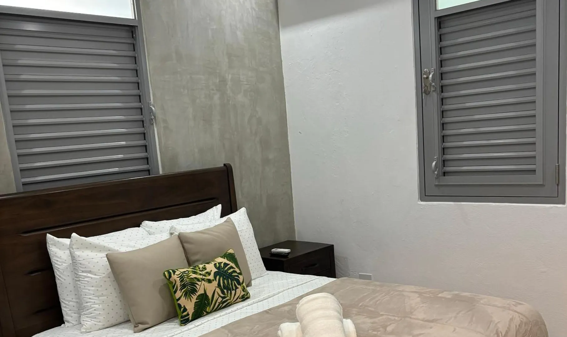 Ansonia Loiza Street Apartment San Juan